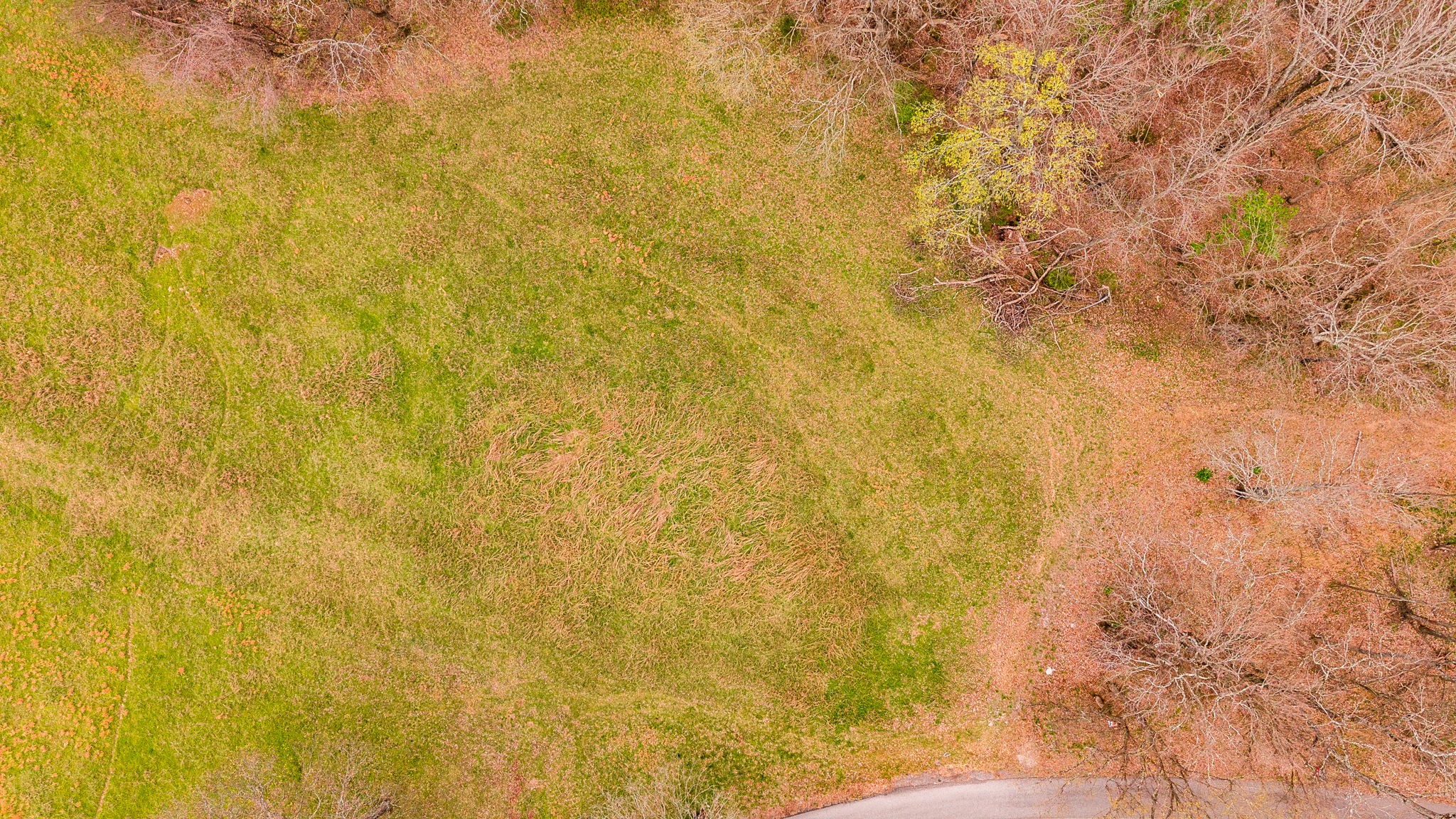 0 Wolf Hill Rd Property Photo 16