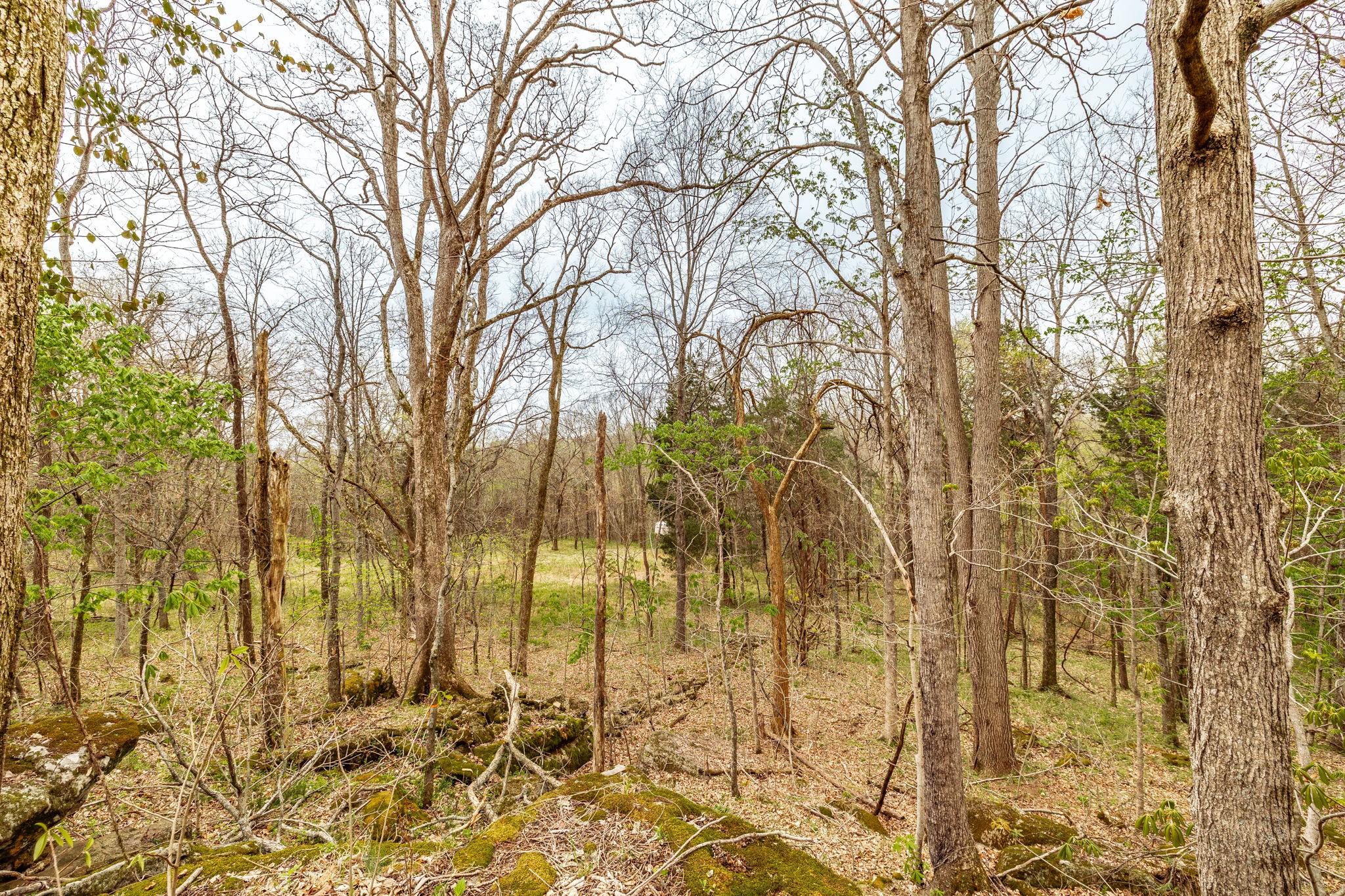 0 Wolf Hill Rd Property Photo 28
