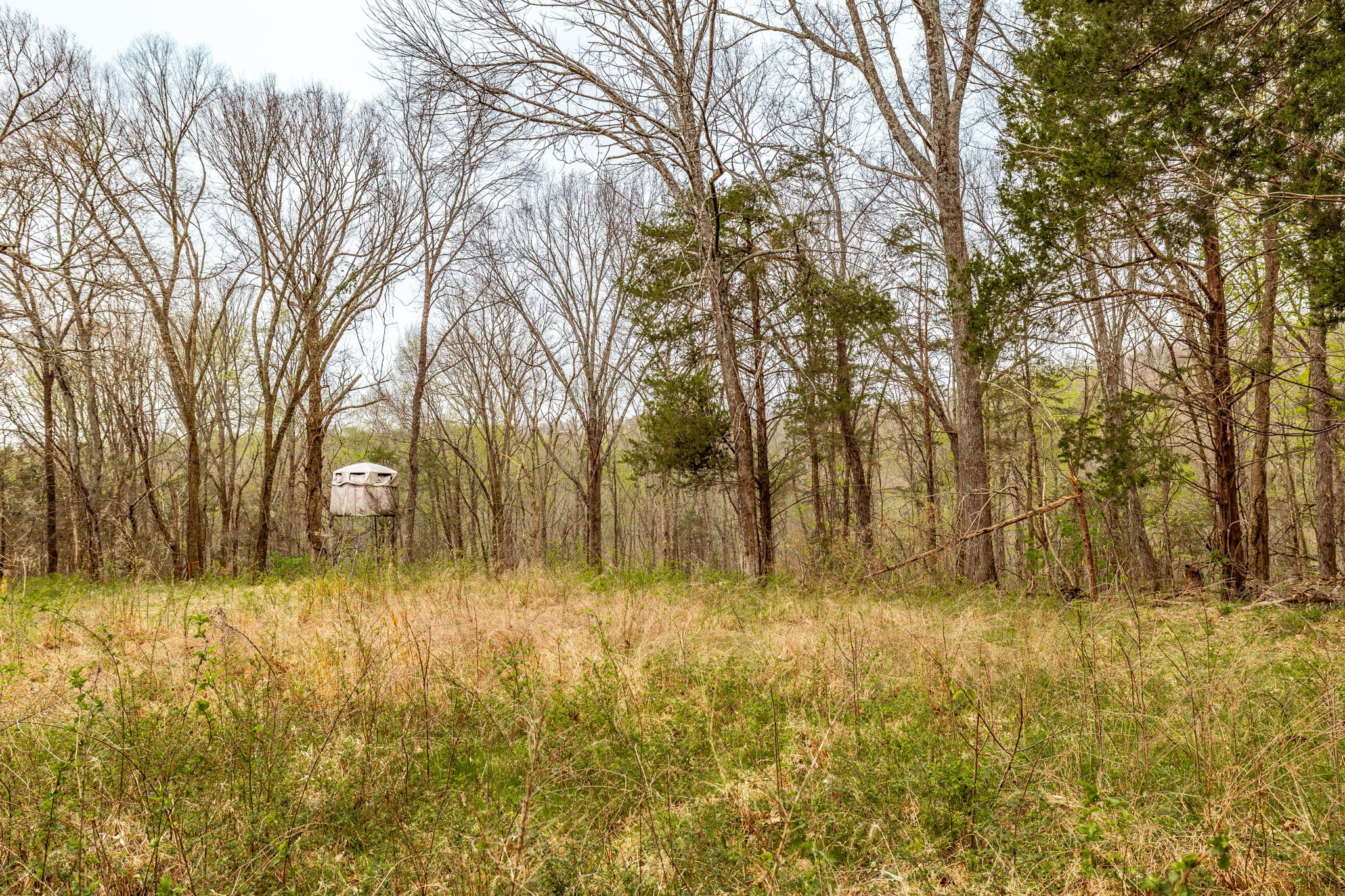 0 Wolf Hill Rd Property Photo 30