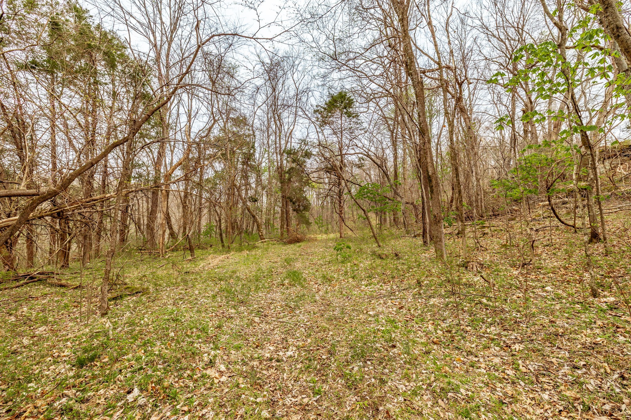 0 Wolf Hill Rd Property Photo 32