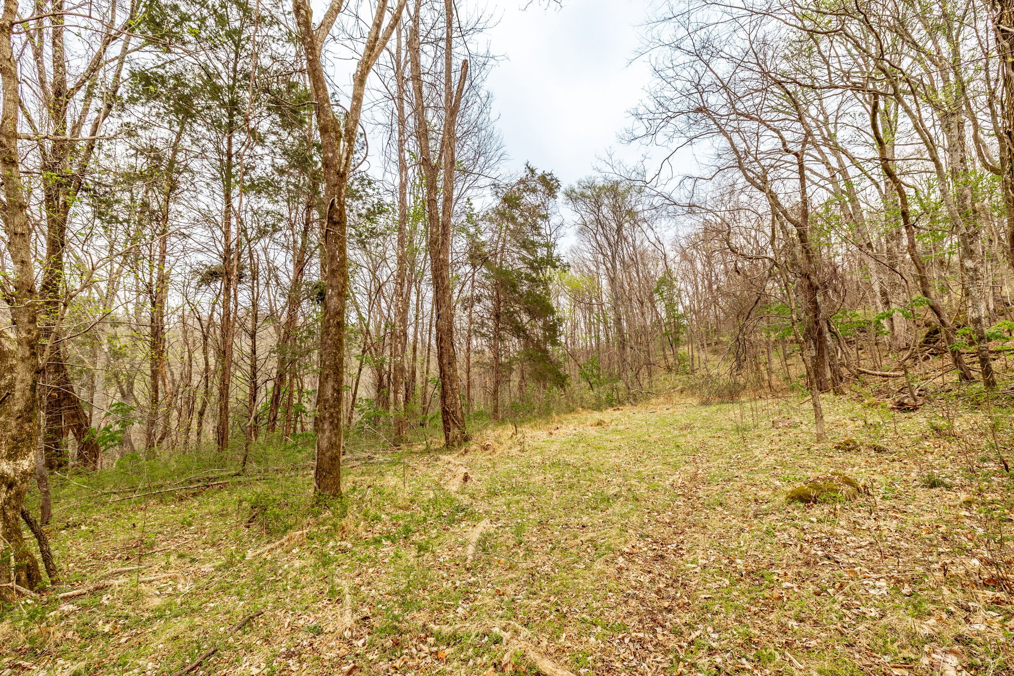 0 Wolf Hill Rd Property Photo 33