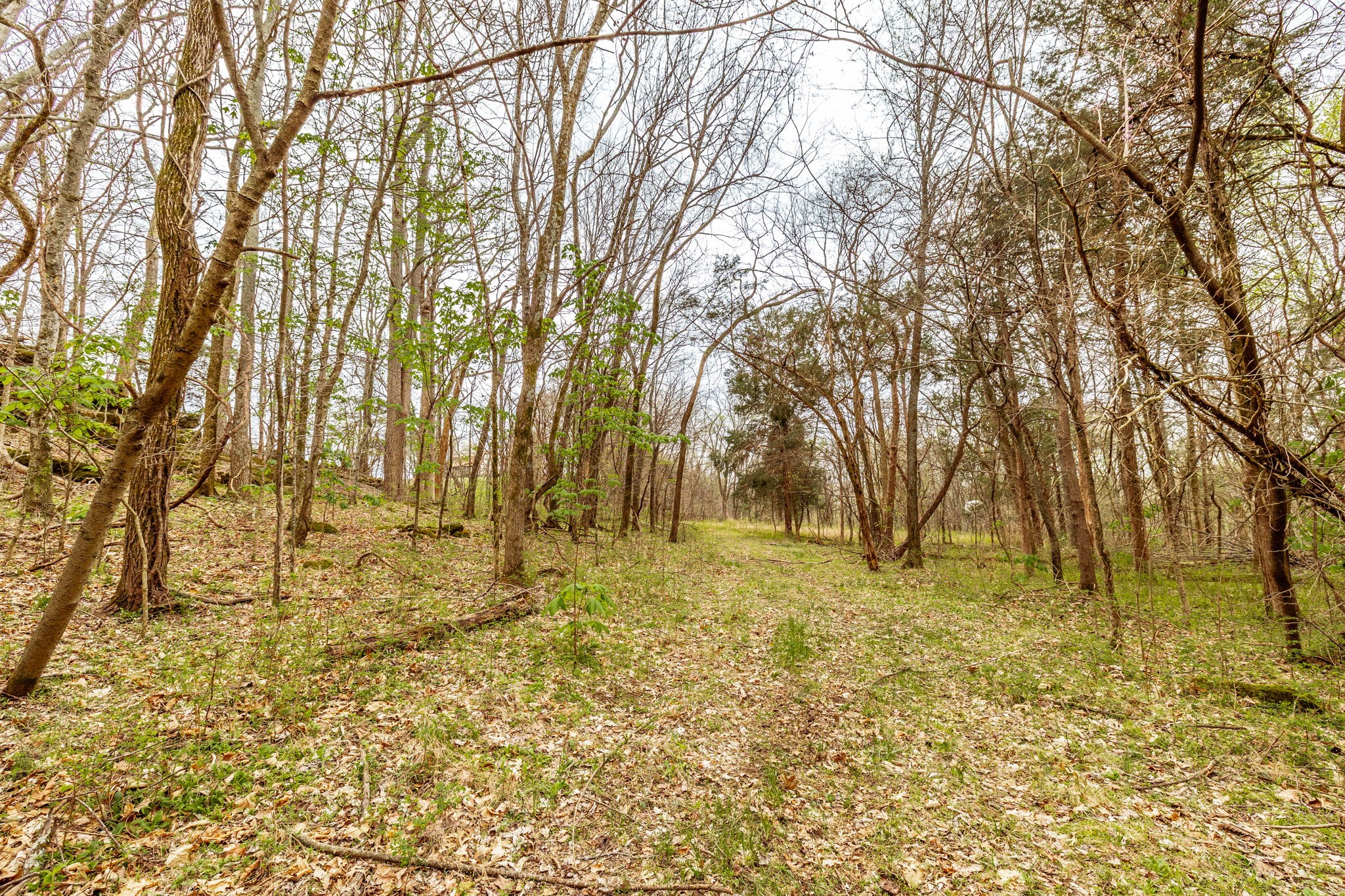 0 Wolf Hill Rd Property Photo 34