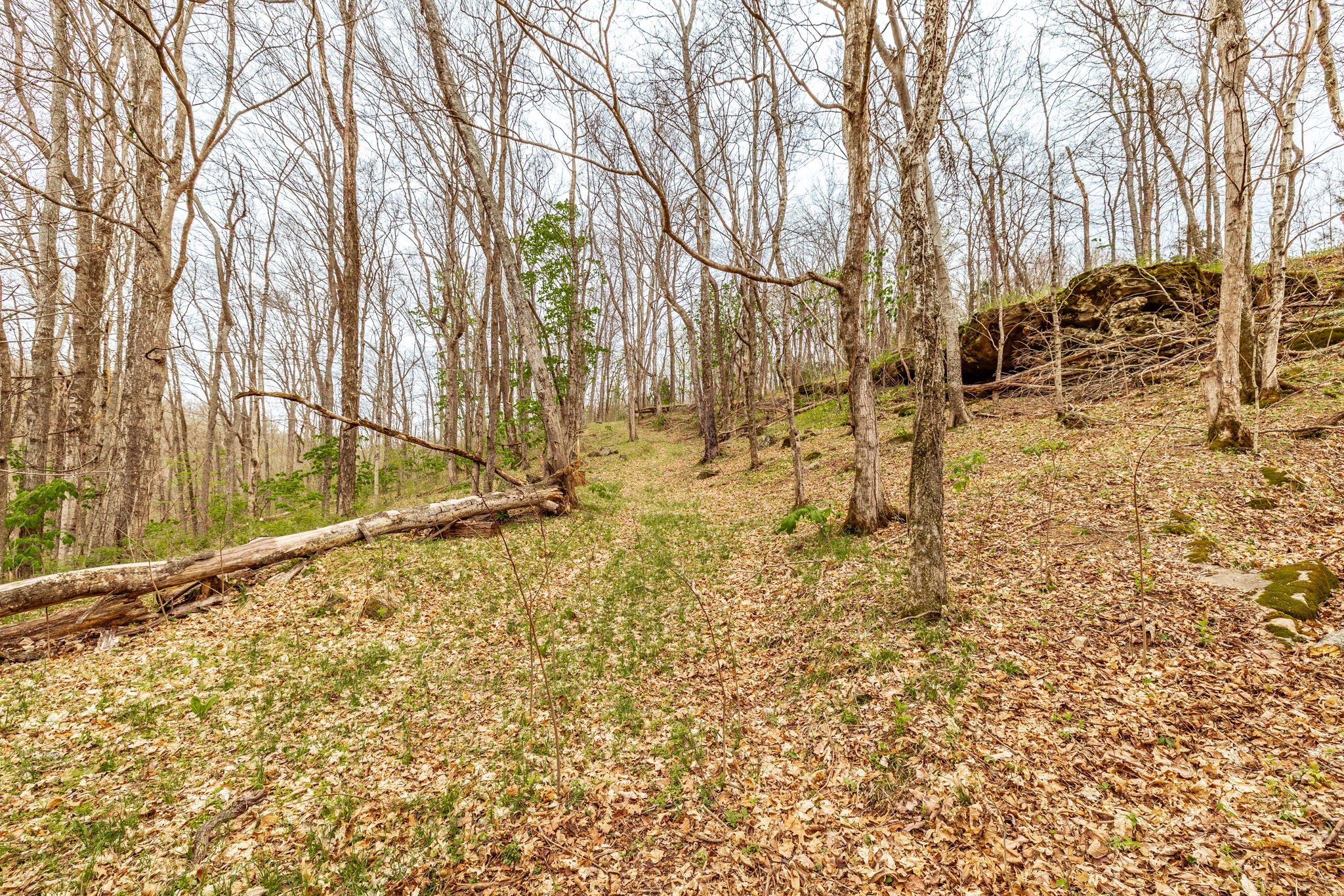 0 Wolf Hill Rd Property Photo 36