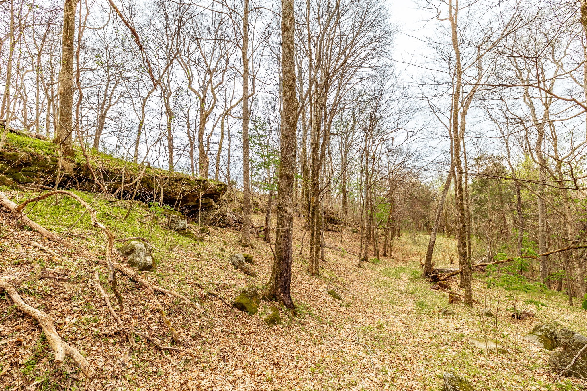 0 Wolf Hill Rd Property Photo 39