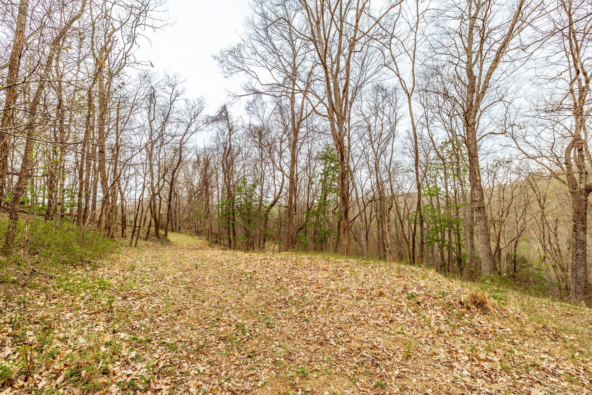 0 Wolf Hill Rd Property Photo 41