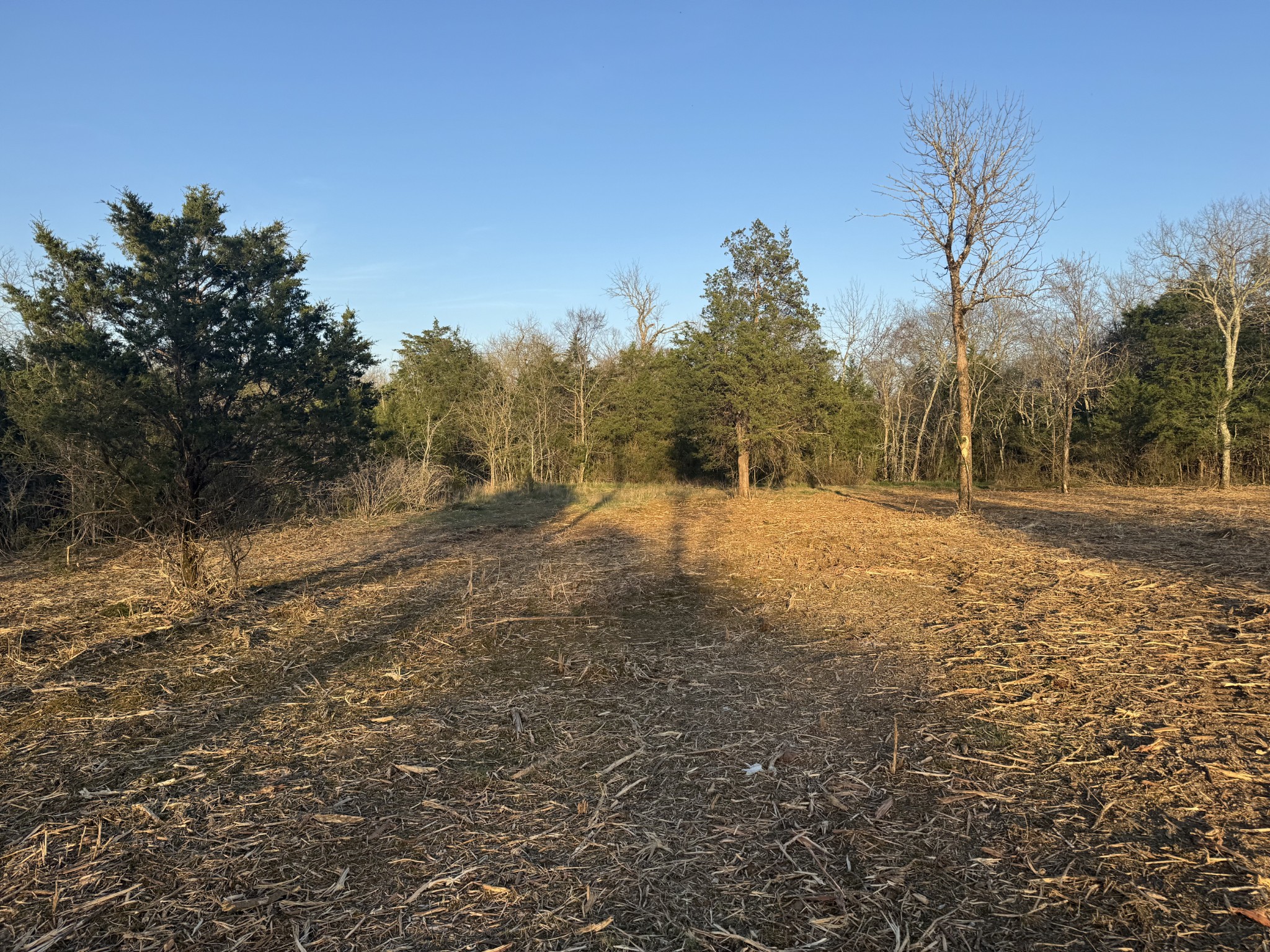 0 Joe Peay Road Property Photo 8