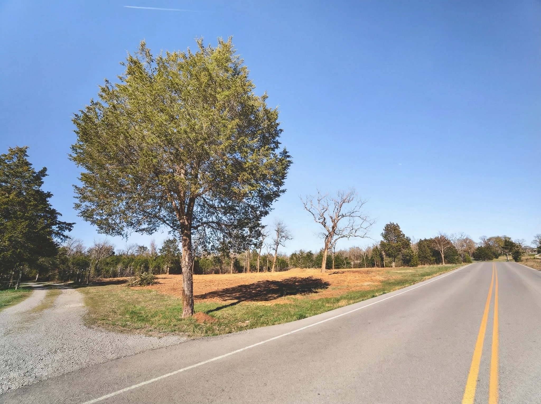 0 Joe Peay Road Property Photo 11