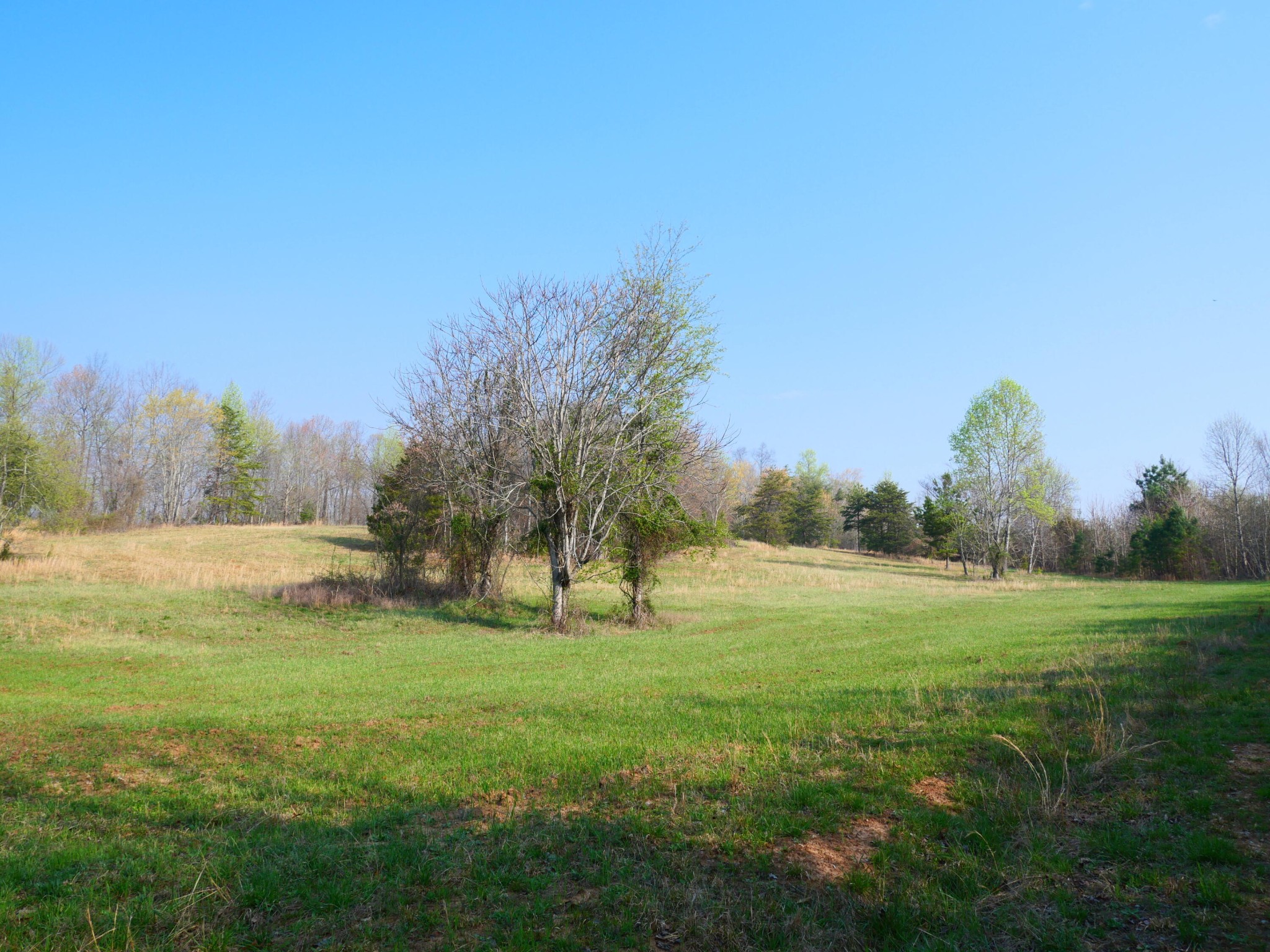 0 Daugherty Ferry Road Property Photo 1