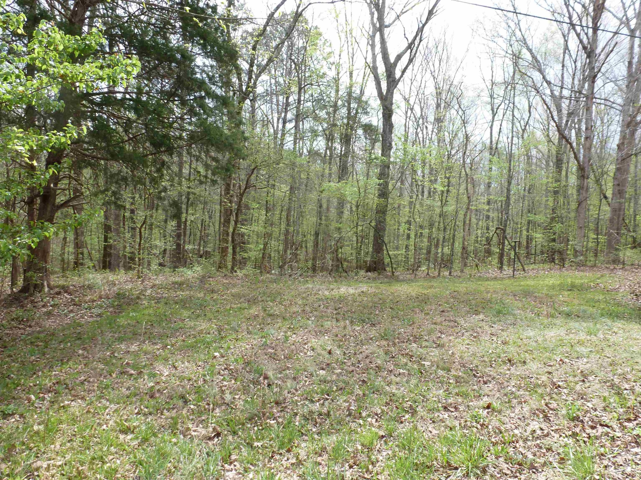 2330 Ligon Springs Rd Property Photo 6