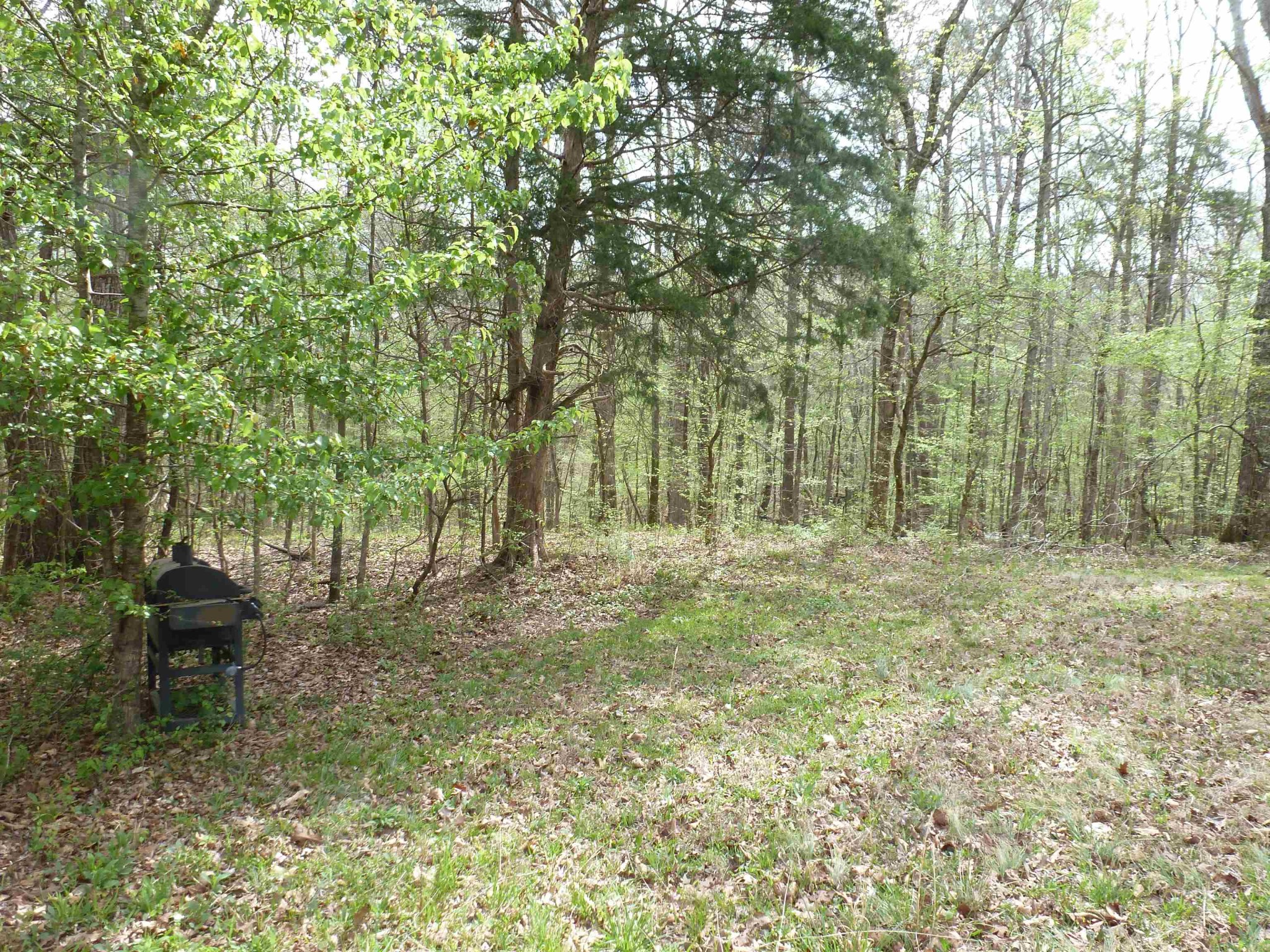 2330 Ligon Springs Rd Property Photo 7