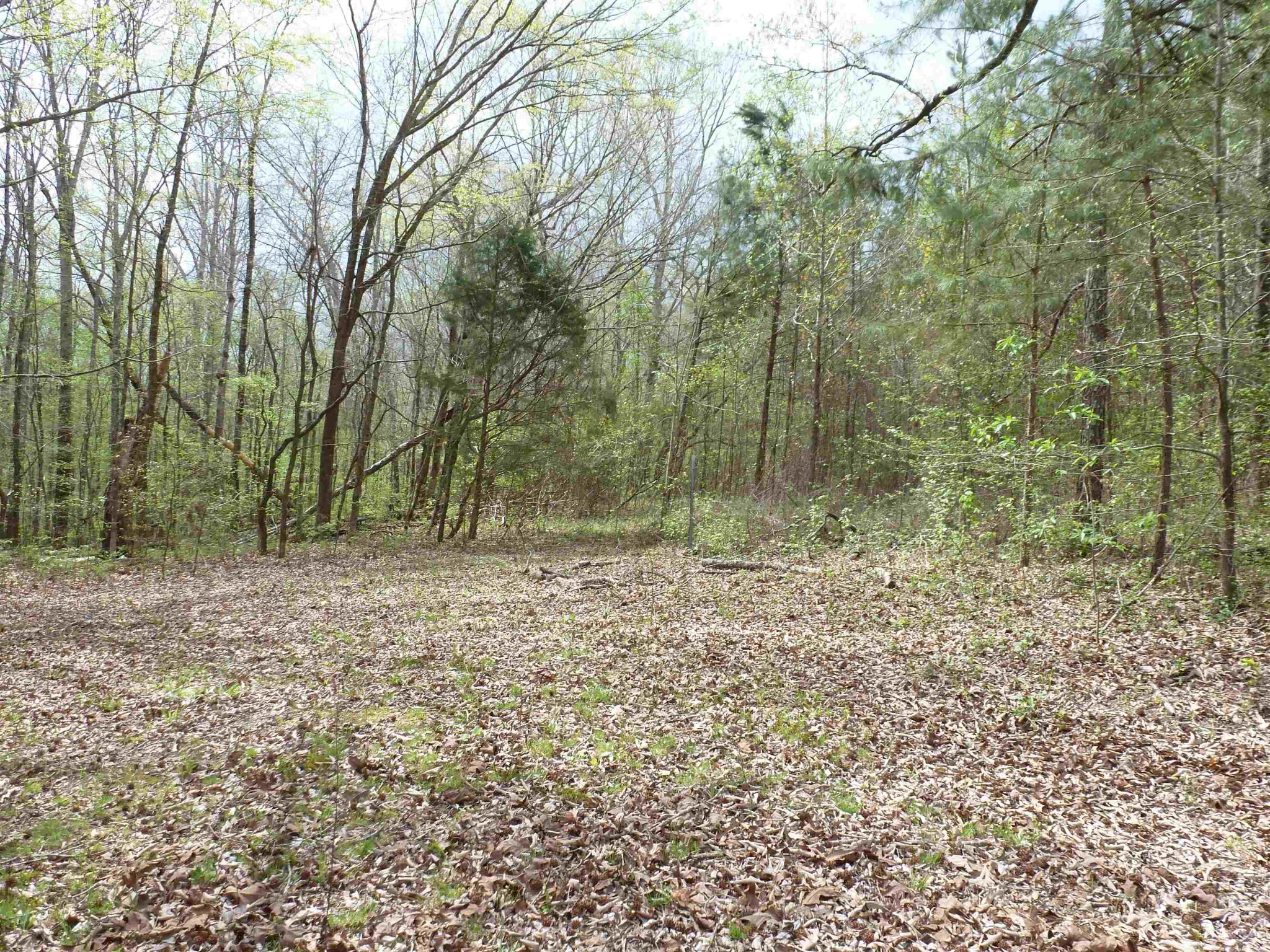 2330 Ligon Springs Rd Property Photo 8