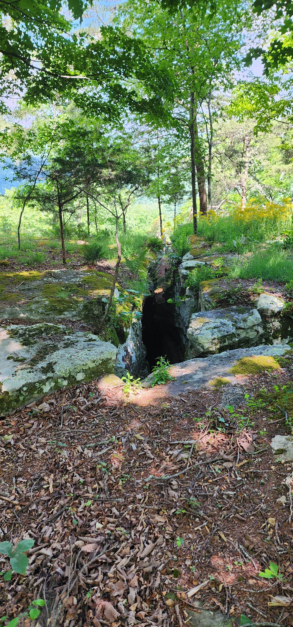 0 Roth Point Road Property Photo 43