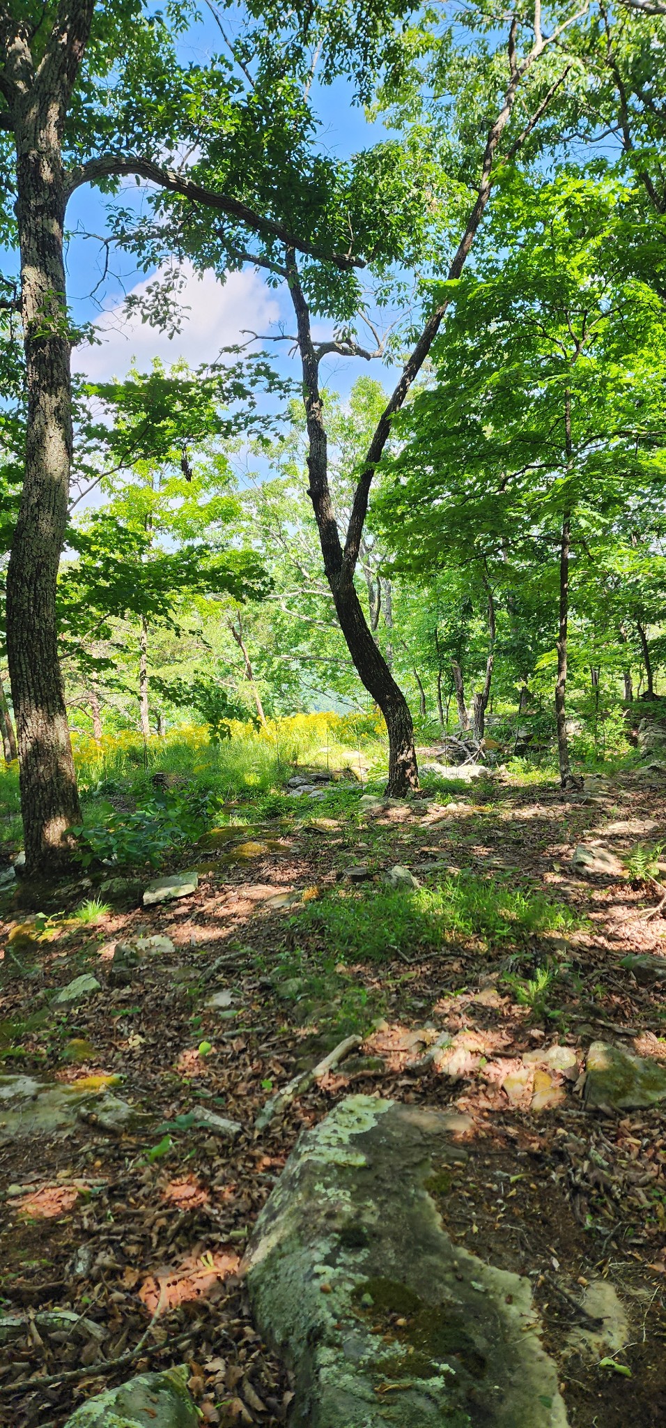 0 Roth Point Road Property Photo 44