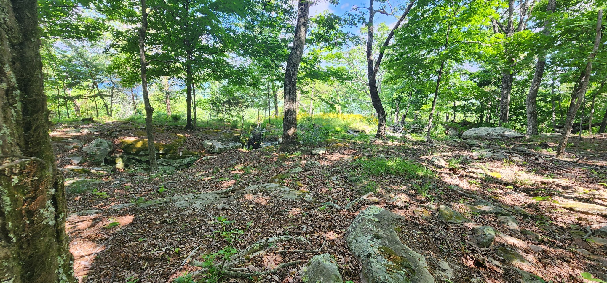 0 Roth Point Road Property Photo 45