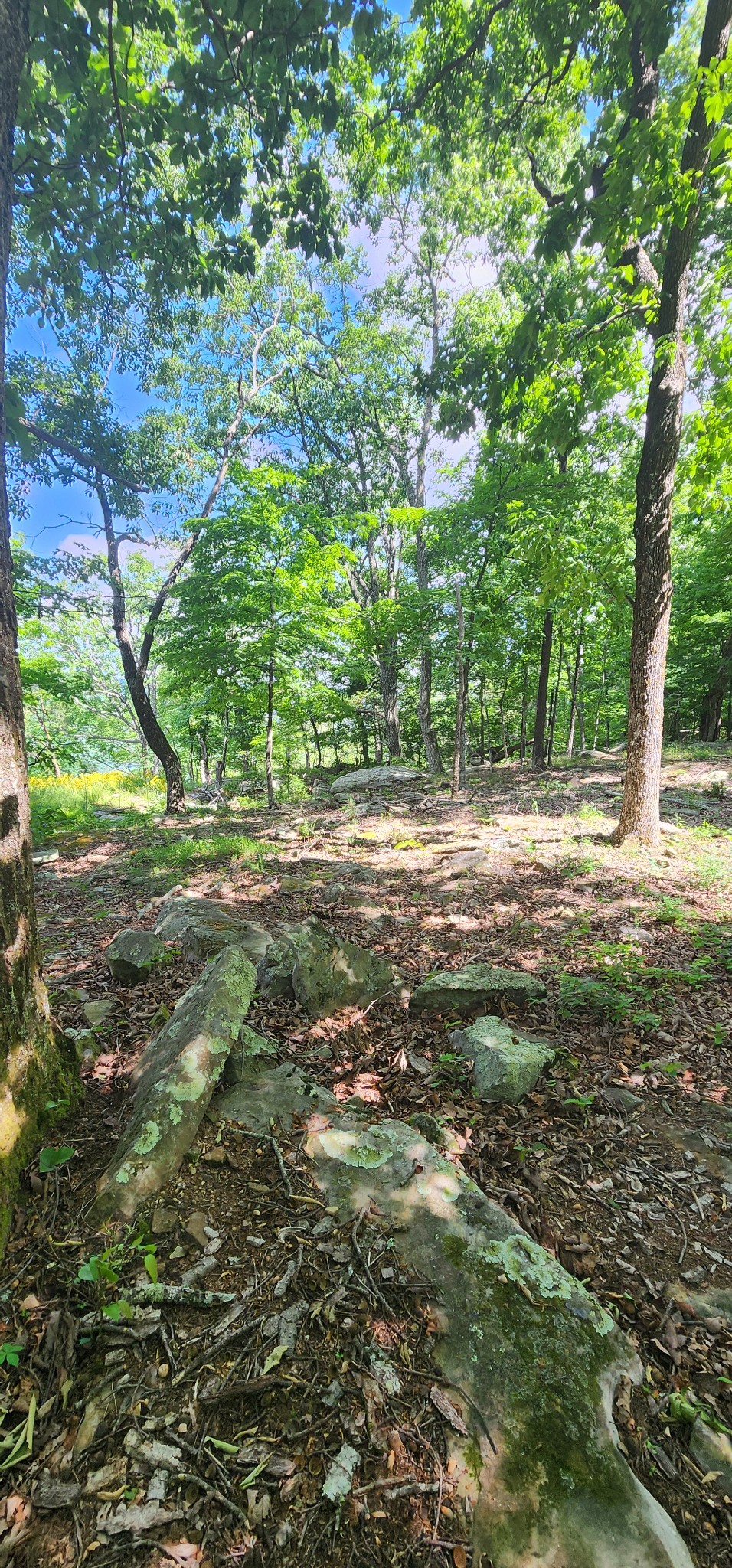 0 Roth Point Road Property Photo 46