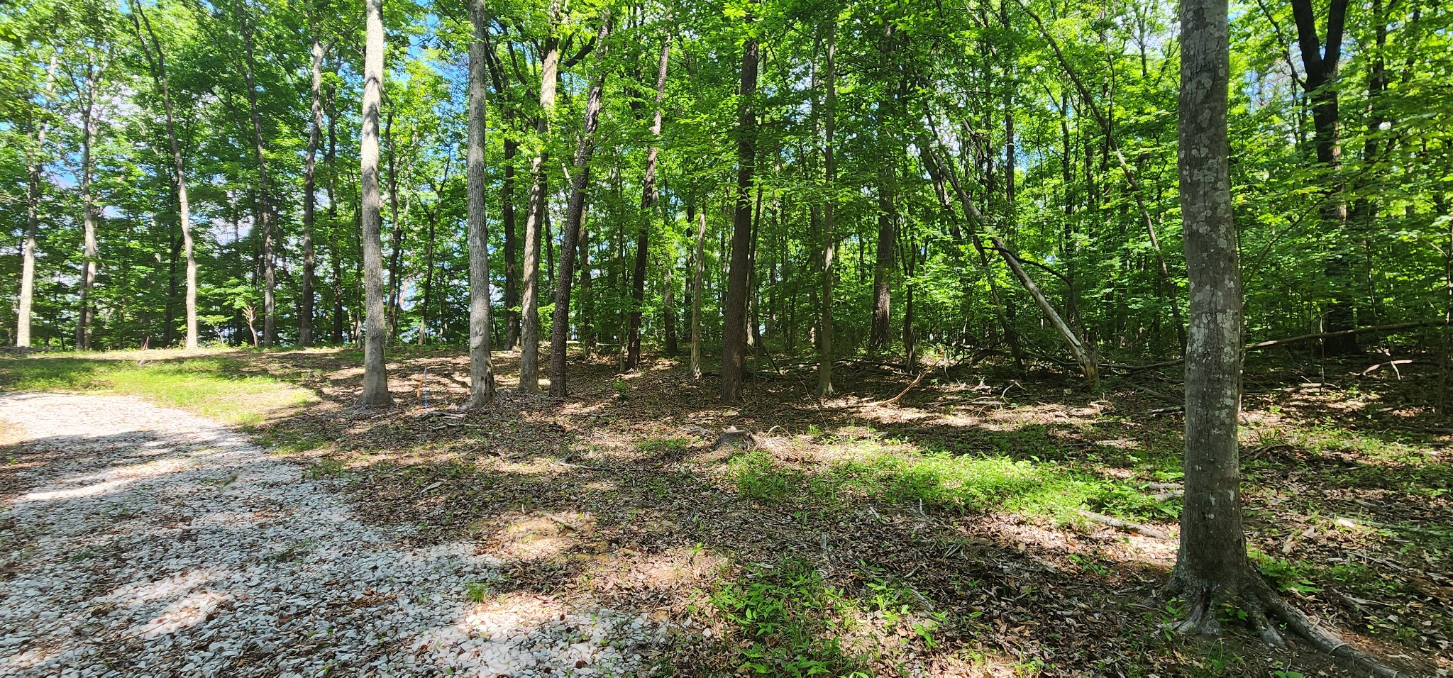 0 Roth Point Road Property Photo 47