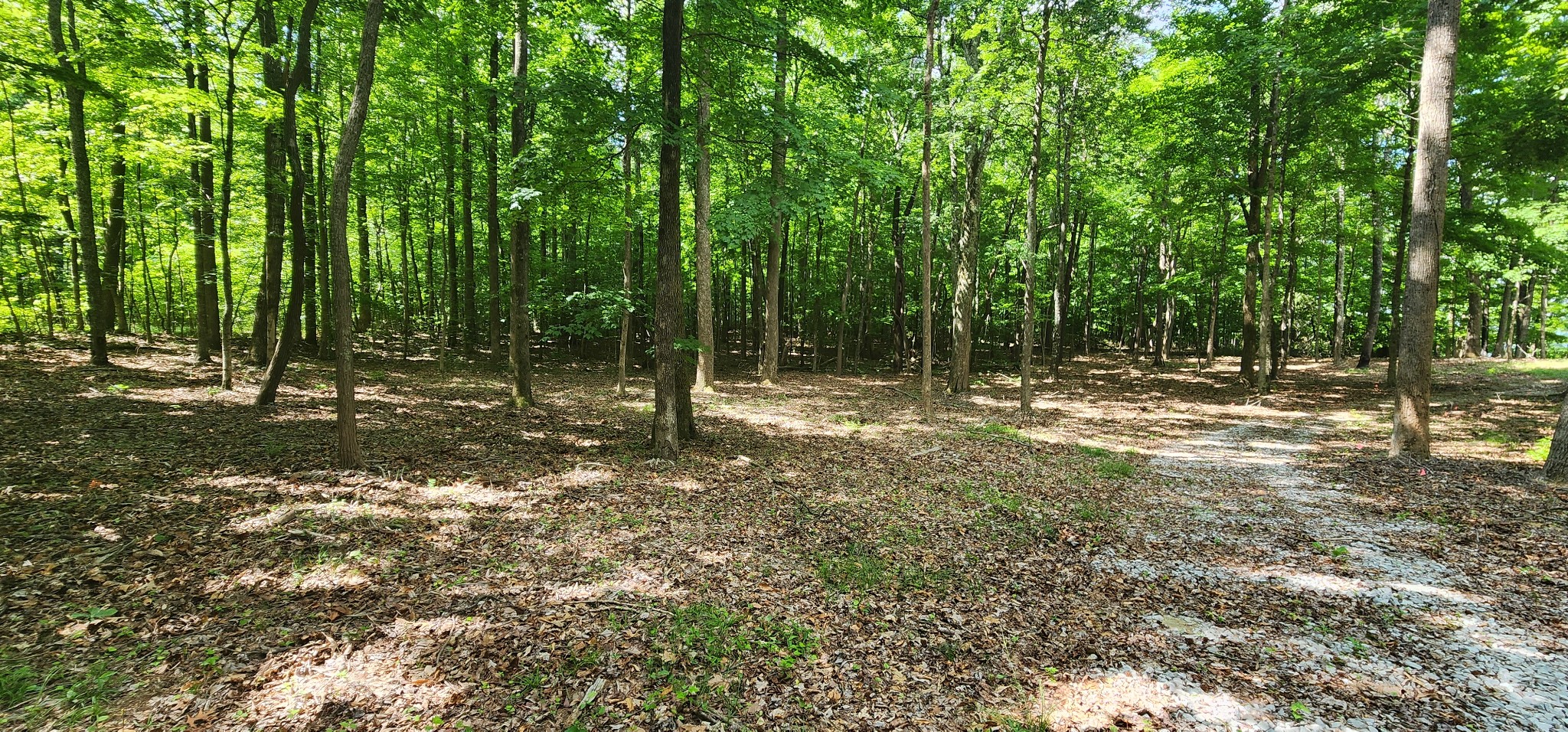 0 Roth Point Road Property Photo 48