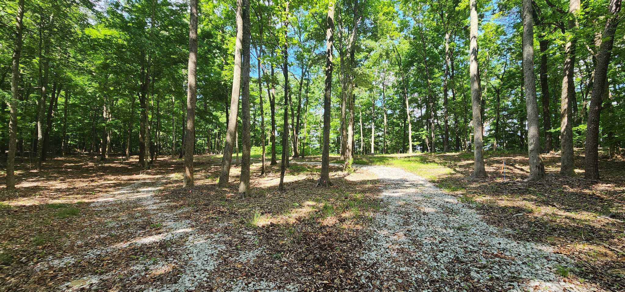 0 Roth Point Road Property Photo 49