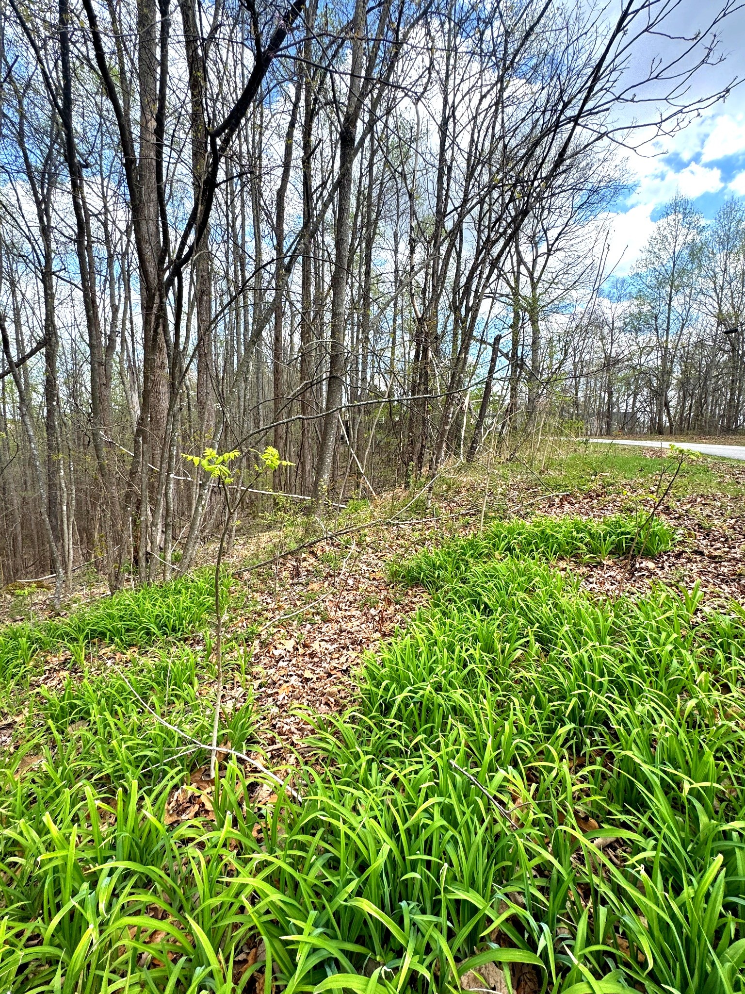 0 Coconut Ridge Rd