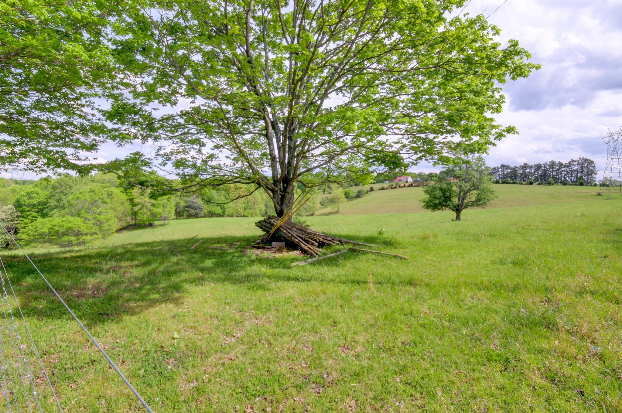 3915 Oak Ridge Rd Property Photo 5