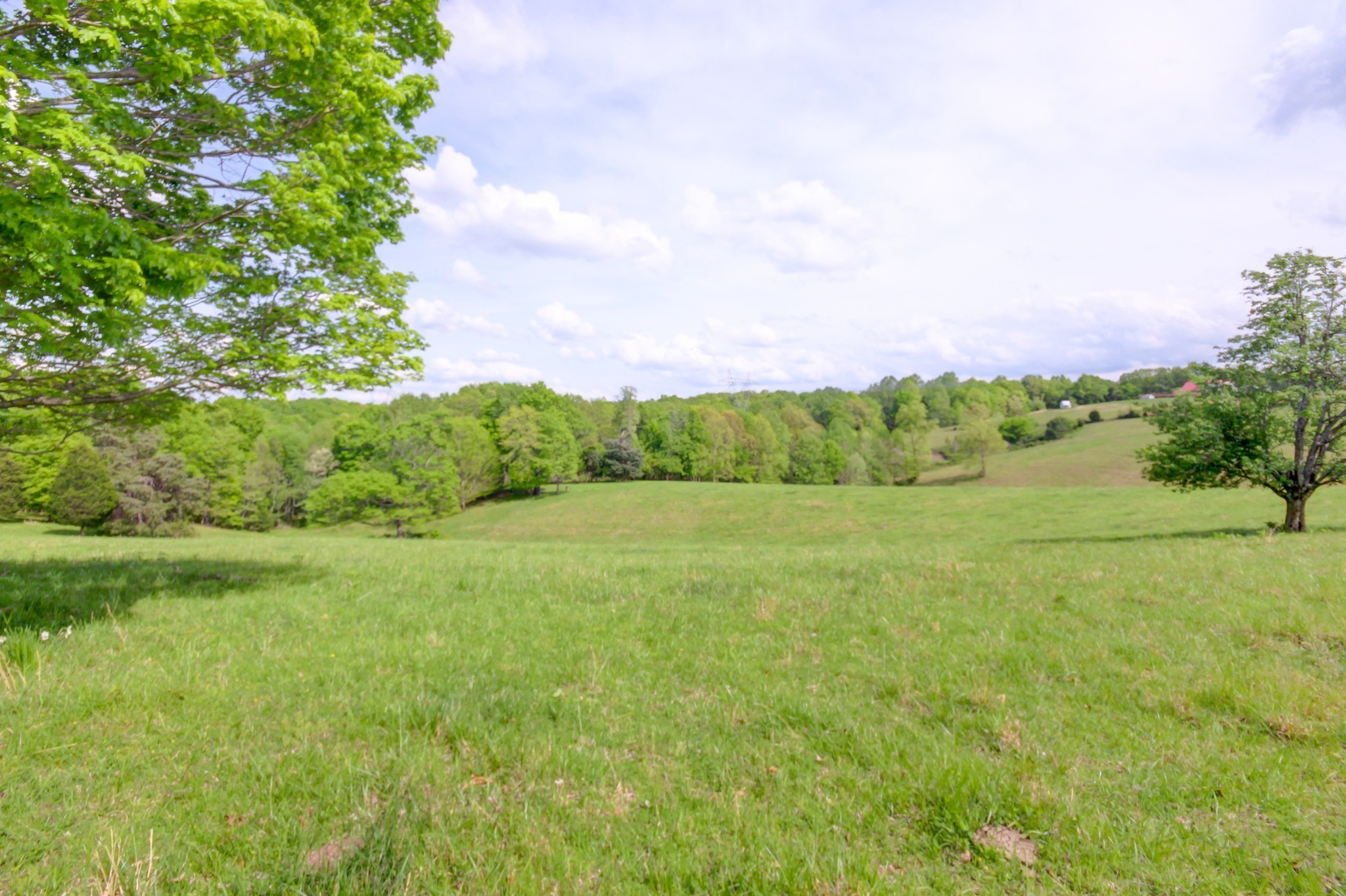3915 Oak Ridge Rd Property Photo 6