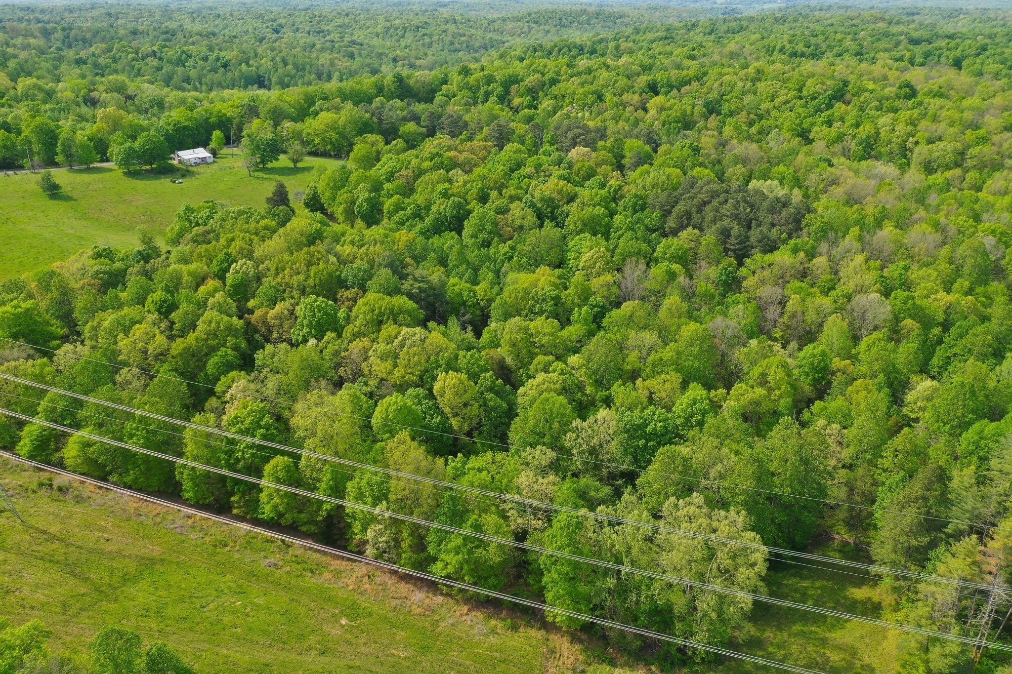 3915 Oak Ridge Rd Property Photo 31