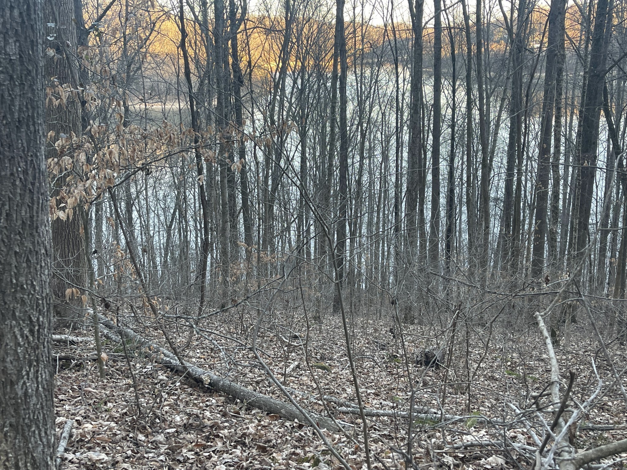 0 Back Bone Rd Property Photo 2