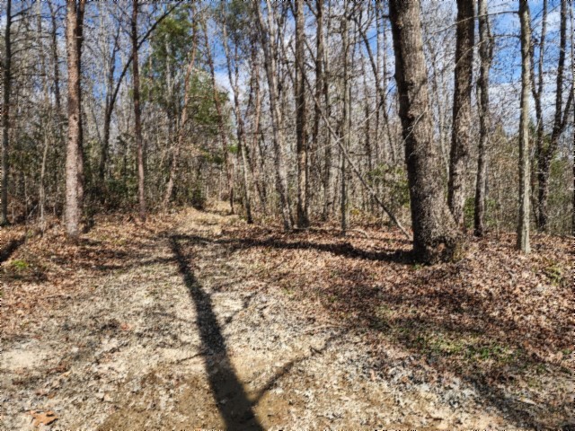 0 Buffalo Rd Property Photo 5
