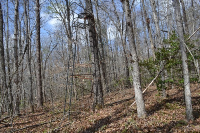 0 Buffalo Rd Property Photo 9