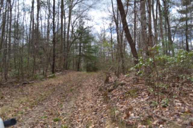0 Buffalo Rd Property Photo 14