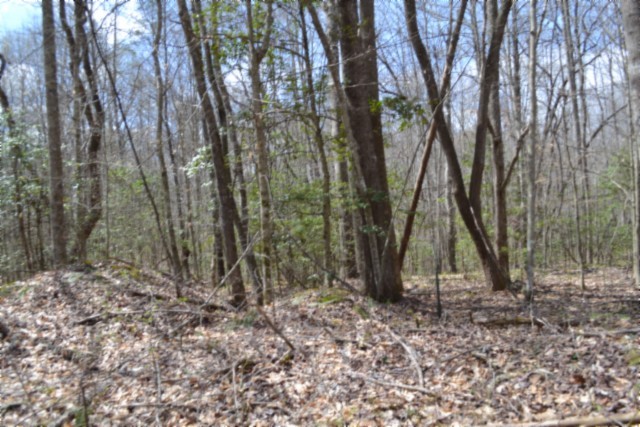 0 Buffalo Rd Property Photo 17