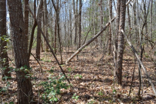 0 Buffalo Rd Property Photo 18