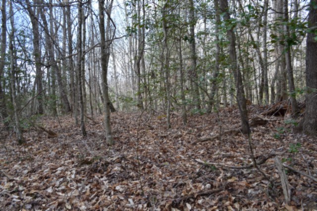 0 Buffalo Rd Property Photo 19
