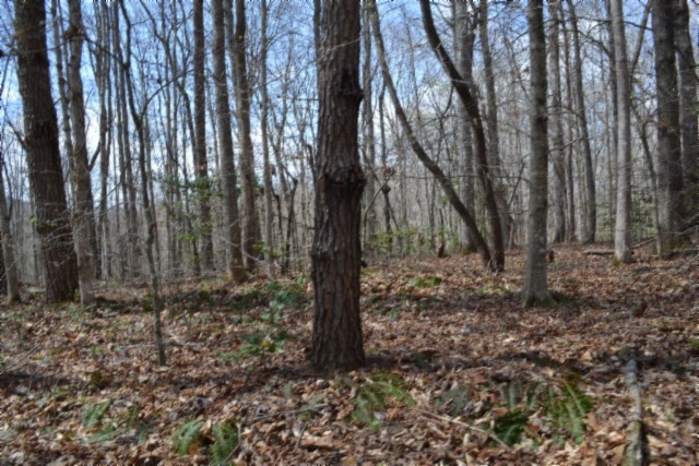 0 Buffalo Rd Property Photo 20