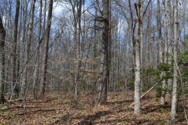 0 Buffalo Rd Property Photo 21