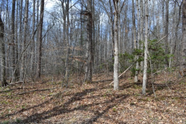 0 Buffalo Rd Property Photo 22