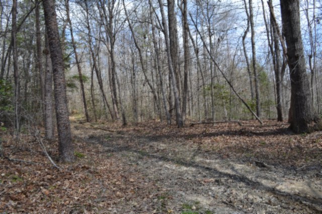 0 Buffalo Rd Property Photo 23