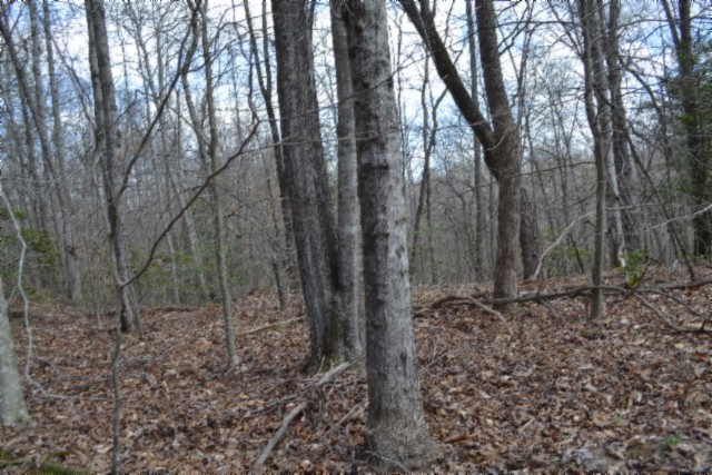0 Buffalo Rd Property Photo 24