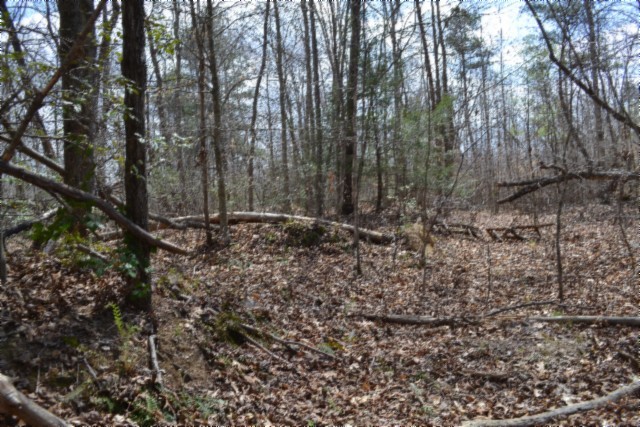 0 Buffalo Rd Property Photo 25