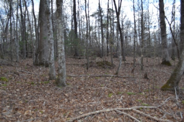 0 Buffalo Rd Property Photo 27
