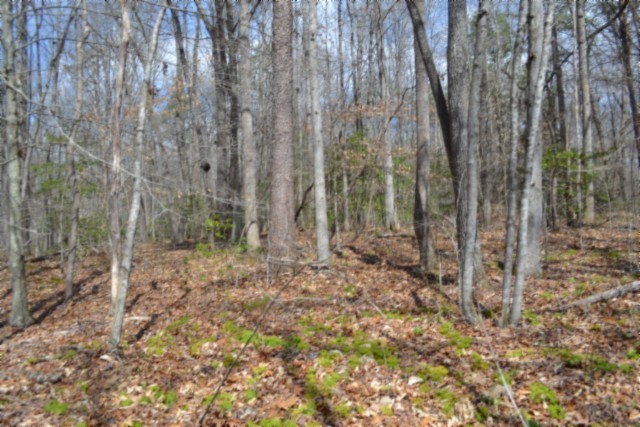 0 Buffalo Rd Property Photo 28