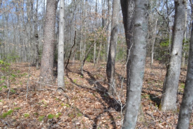 0 Buffalo Rd Property Photo 29