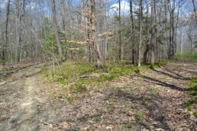 0 Buffalo Rd Property Photo 31