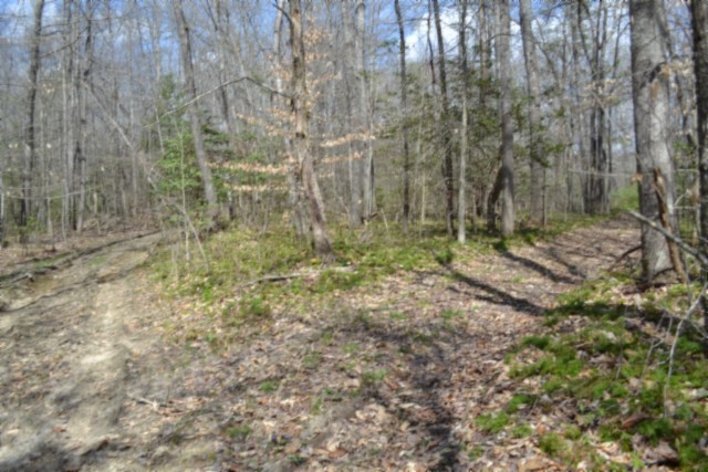 0 Buffalo Rd Property Photo 32