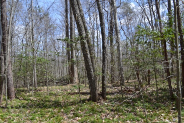 0 Buffalo Rd Property Photo 34