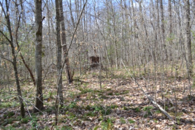 0 Buffalo Rd Property Photo 35