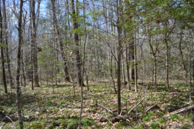 0 Buffalo Rd Property Photo 36