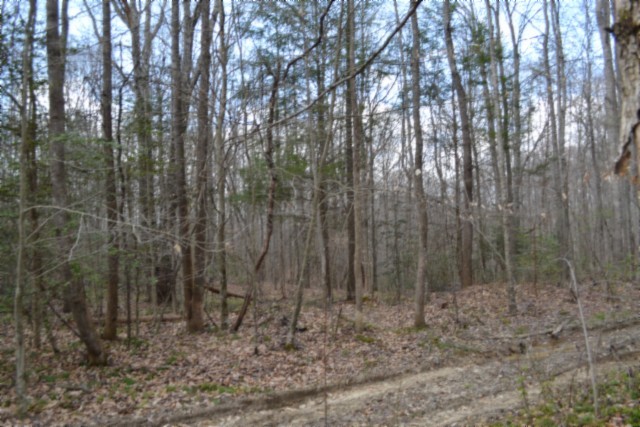 0 Buffalo Rd Property Photo 37