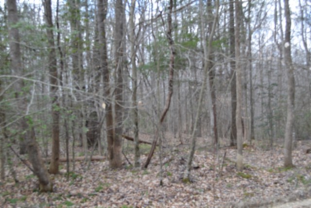 0 Buffalo Rd Property Photo 38