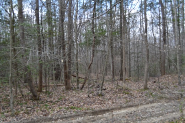 0 Buffalo Rd Property Photo 39